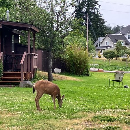 Jones Cabin Friday Harbor Εξωτερικό φωτογραφία