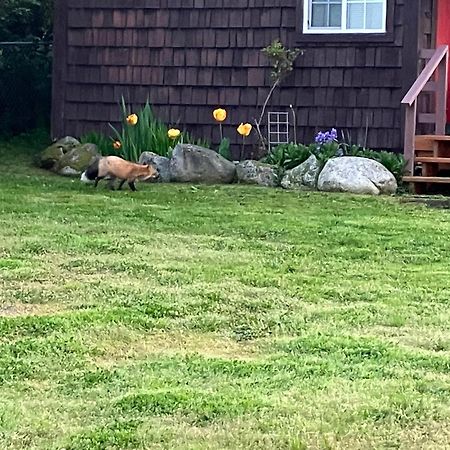 Jones Cabin Friday Harbor Εξωτερικό φωτογραφία